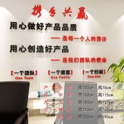 测量仪器球友会中国品牌排行榜(中国测量仪器公